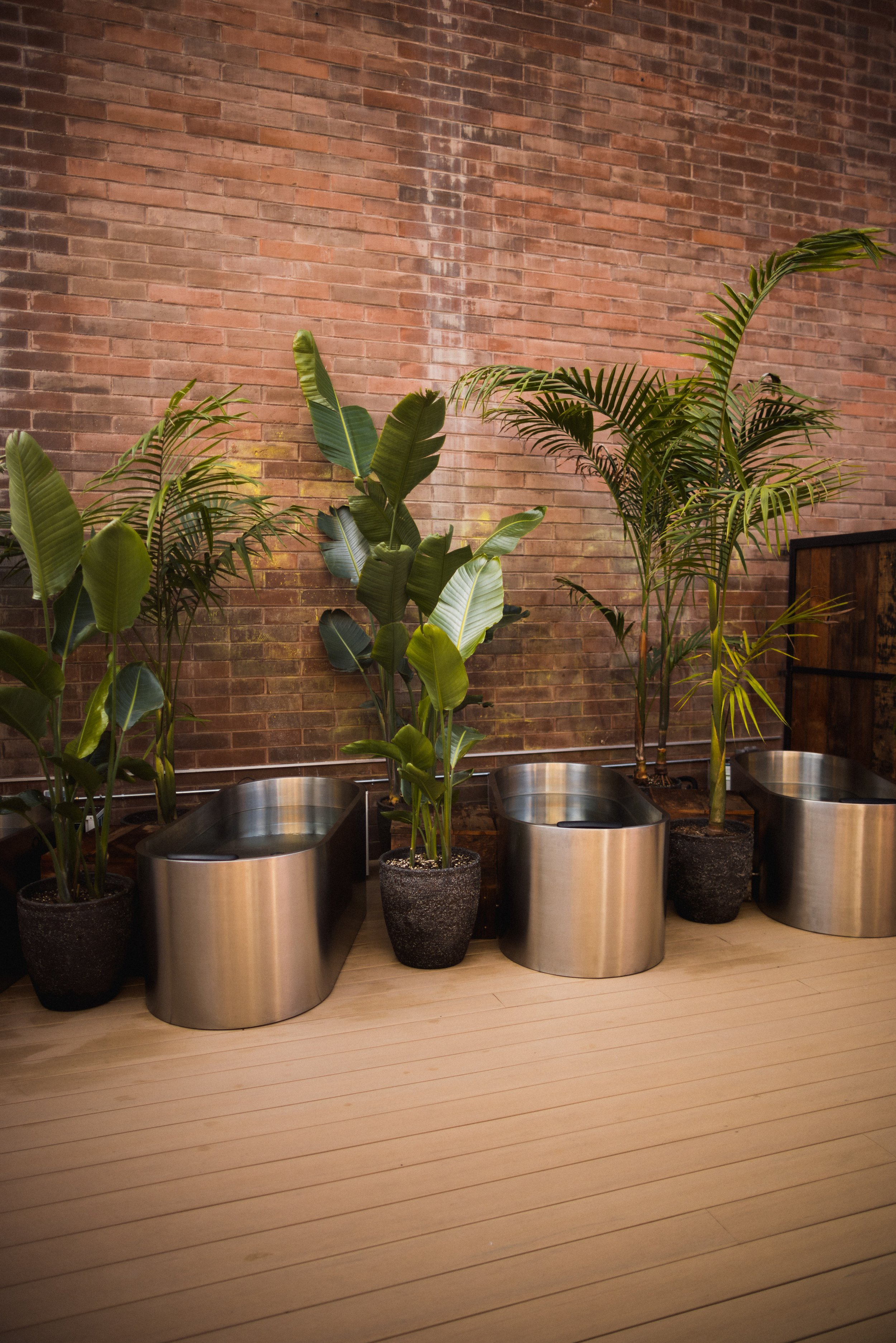 Multiple stainless steel cold plunge tubs in indoor spa setting with tropical plants