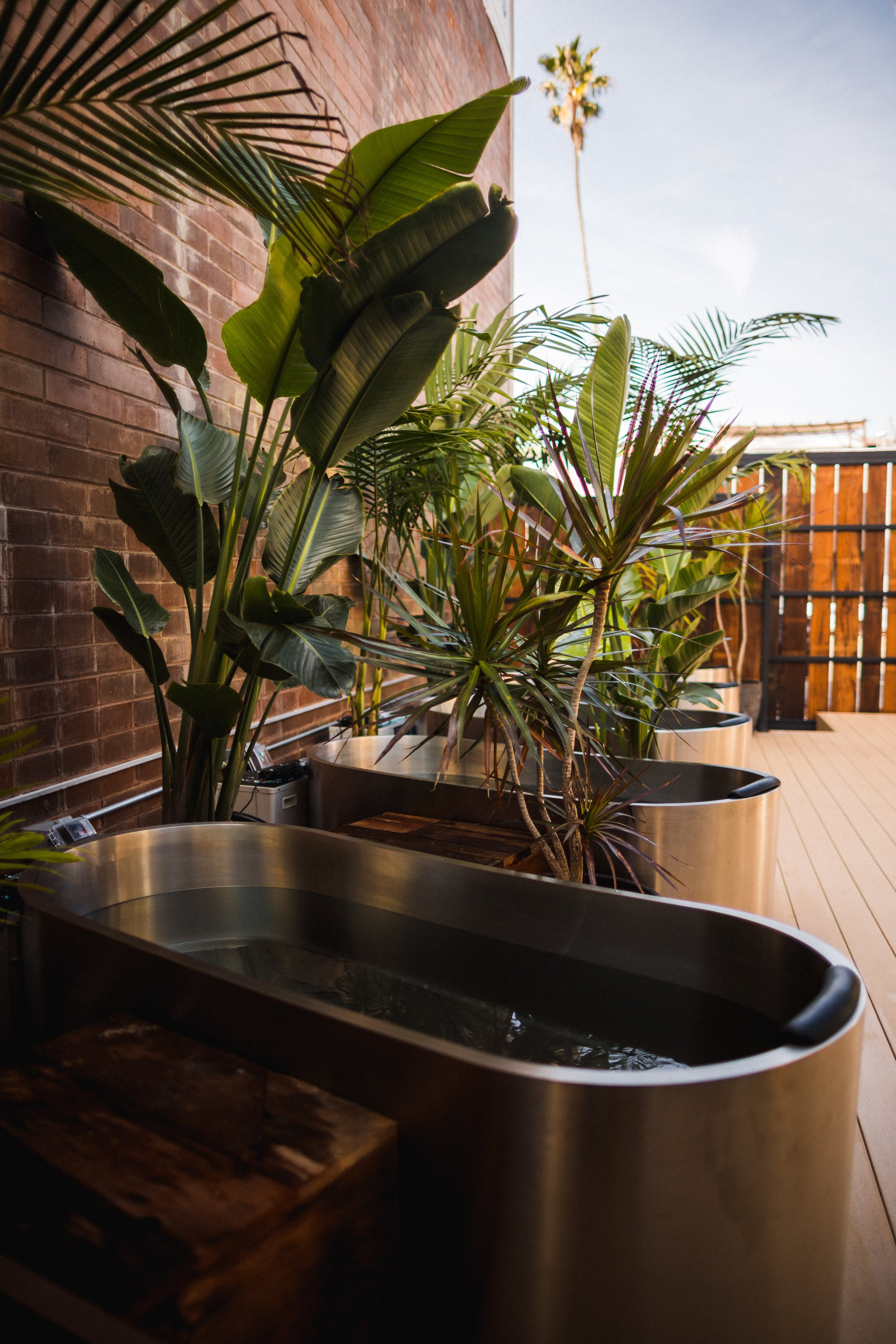 Stainless steel cold plunge tubs on outdoor patio with tropical landscaping